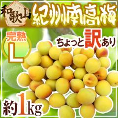 �h�I�B�E�a�̎R�Y �썂�~ ���n�h L ��1kg ������Ɩ󂠂�s9kg�ȏゲ�w���ő���������1kg���܂��t�y�\�� 6���ȍ~�z