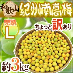 �h�I�B�E�a�̎R�Y �썂�~ ���n�h L ��3kg ������Ɩ󂠂�y�\�� 6���ȍ~�z ��������