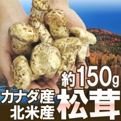 Ji_EkĎY hh 150g 傫܂y\ 9{ȍ~z