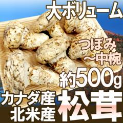 �J�i�_�E�k�ĎY �h�����h ��500g �ڂ݁`���o �傫�����܂����y�\�� 9�������{�ȍ~�z ��������