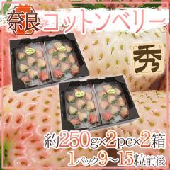 �ޗǌ��Y �h�������� �R�b�g���x���[�h 2pc�~�s2���t�i1pc������9�`15���O�� ��250g�j�y�\�� 1�����{�ȍ~�z ��������