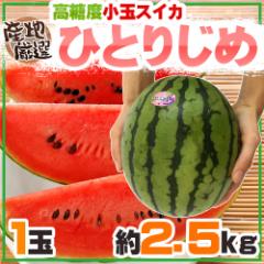 �h���ʂ����� �ЂƂ肶�߁h 3L 1�� ��2.5kg �Y�n���I�y�\�� 5�����{�ȍ~�z