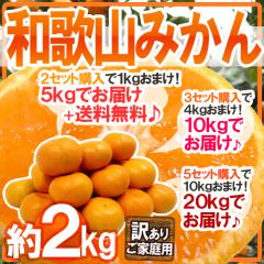 ha̎R݂h 󂠂 2kg 傫܂s2Zbgw1kg{A3Zbg4kgA5Zbg10kg܂ty\ 11ȍ~z