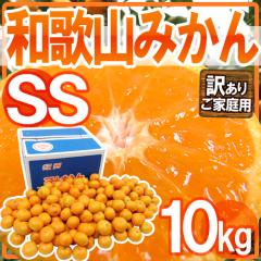 �h�a�̎R�݂���h �󂠂� �����E���� SS�T�C�Y ��10kg�y�\�� 11�����ȍ~�z ��������
