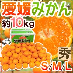 �h���Q�݂���h �G�i S/M/L�T�C�Y ��10kg�y�\�� 11���ȍ~�z ��������