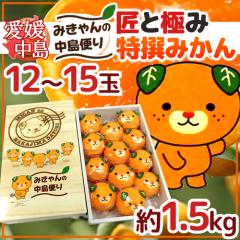 QEY hƋɂ݂ ݂̒ւh 12`15 1.5kg ݂񕿉ϔy\ 11{ȍ~z 