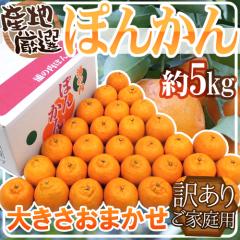 �h�ۂ񂩂�h �󂠂� ��5kg �傫�����܂��� �Y�n���I �|���J���y�\�� 1�������{�ȍ~�z ��������