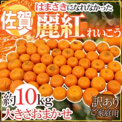 �h����Y �͂܂����ɂȂ�Ȃ����� ��g�h �󂠂� ��10kg �傫�����܂����y�\�� 2���ȍ~�z ��������