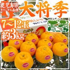 Y hfR| 叫Gh Gi 7`12 3kg Ynϔy\ 12ȍ~z 