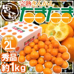 �{�茧 �h���n���񂩂� ���܂��܁h �G�i �嗱2L�T�C�Y ��1kg ���ϔ��y�\�� 2�����{�ȍ~�z ��������