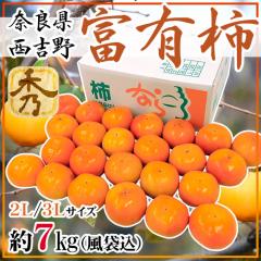 �ޗǌ����g��Y �h�x�L�`�h �G�i 2L�`3L ��7kg�i���܍��j�y�\�� 11���ȍ~�z ��������