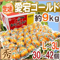 Q hS[hh Gi L`3L 30`42 9kg `y\ 12{ȍ~z 