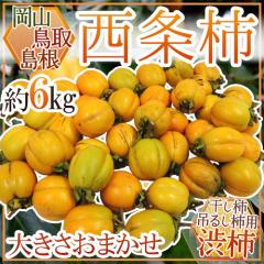 �����E����E���R�Y �����`�E�݂邵�`�p �h�����` �a�`�h ��6kg �傫�����܂����y�\�� 10�����{�ȍ~�z ��������