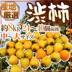 `E݂邵`p ha`h `TCY 8kg u`vua`vꂩ{ȎYnŁy\ 11{ȍ~z 