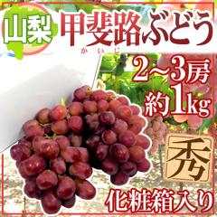 �h�R���Y �b��H�Ԃǂ��h �G�i 2�`3�[ ��1kg�ȏ� ���ϔ��y�\�� 9�����{�ȍ~�z ��������