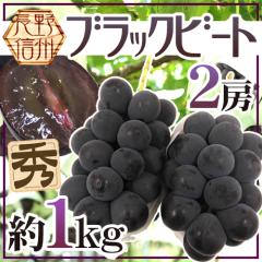 �h����Y �u���b�N�r�[�g�h �G�i 2�[ ��1kg �Ԃǂ��y�\�� 9�����{�ȍ~�z ��������