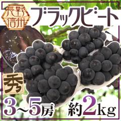 �h����Y �u���b�N�r�[�g�h �G�i 3�`5�[ ��2kg �Ԃǂ��y�\�� 9�����{�ȍ~�z ��������