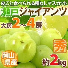 ���R�Y �h���˃W���C�A���c�h �G�i ��[���� 2�`4�[ ��2kg �Ԃǂ��y�\�� 9���ȍ~�z[B2]