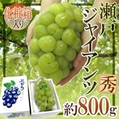 ���R�Y �h���˃W���C�A���c�h �G�i ��[ ��800g�ȏ� ���ϔ� �Ԃǂ��y�\�� 9���ȍ~�z ��������