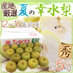�h�Ă̍K�����h �G�i ���12�`16�� ��5kg �Y�n���I�y�\�� 7���ȍ~�z ��������