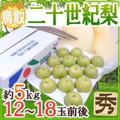 ����Y �h��\���I���h �G�i ���12�`18�� ��5kg�y�\�� 8�����ȍ~�z ��������