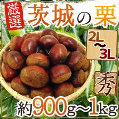 �h���̘a�I�h �G�i �嗱2L�`3L�T�C�Y ��900g�`1kg�y�\�� 9�����{�ȍ~�z ��������