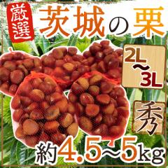 �h���̘a�I�h �G�i �嗱2L�`3L�T�C�Y ��4.5�`5kg�y�\�� 9�����{�ȍ~�z ��������