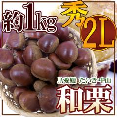 �h���Q�� JA�������E���R �a�I�h �G�i �嗱2L ��1kg�y�\�� 9�����{�ȍ~�z ��������
