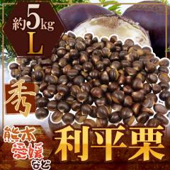 �h�����I�h �G�i L ��5kg �F�{�Y�E���Q�Y�Ȃǁy�\�� 9�����{�ȍ~�z ��������