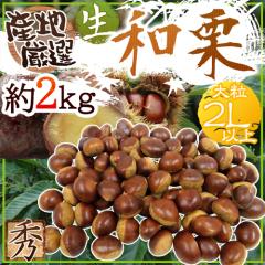 �h���Y�a�I�h �G�i �嗱2L�T�C�Y�ȏ� ��2kg �Y�n���I ���I�y�\�� 9�����{�ȍ~�z ��������