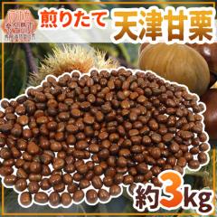 �h�V�ÊÌI�h ��3kg�i��500g�~6pc�j �������Y�n����I�̂ꂽ�ĐV�I��Ă����āE�u�肽�Ă��l�߂܂����I�y�\�� 10�����{�ȍ~�z ��������