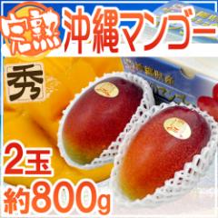 ����Y �h���n�}���S�[�h �G�i 2�� ��800g ���ϔ� ����}���S�[�y�\�� 7���ȍ~�z ��������