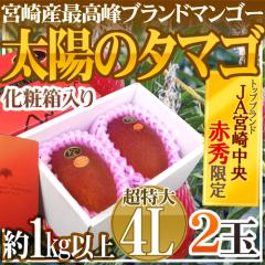 �{�芮�n�}���S�[ �h���z�̃^�}�S�h JA�{�蒆�� ������4L 2�ʓ� �ō����� �ԏG����y�\�� 4���ȍ~�z ��������