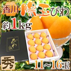 ���쌧 �h�z�ʂт�i���E�M���N�j�h �G�i ��ʌ��� 11�`16�� ��1kg ���ϔ� ���f�y�\�� 5�����ȍ~�z ��������