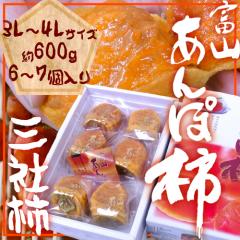 xRY hۊ`h OЊ`gp 3L`4LTCY 6`7ʓ ϔy\ 11ȍ~z 