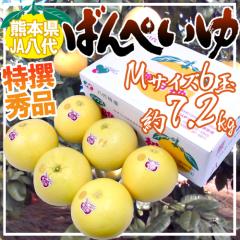 F{Y hӔMh ΂؂ Gi MTCY 6 7.2kg ϔy\ 12ȍ~z 