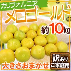 �h�J���t�H���j�A�Y �����S�[���h�h �󂠂� ��10kg �傫�����܂����y�\�� 11�����ȍ~�z ��������