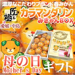 ��̓��M�t�g �h���� �J���}���_�������ƋɁh �s�݂����t���ϔ� 12�`15�� ��1.2kg �J�[�l�[�V�������ԕt���y�\�� 5��2���`5��10������