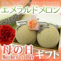 ��̓��M�t�g �h��{�̃G�������h�������h �J�[�l�[�V�������ԕt�� 2�� ��3.2kg�y�\�� 5��2���`5��10�����͂��\��z ��������