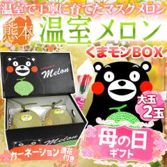 ��̓��M�t�g �h�}�X�N�������h ���܃������ϔ� 2�� ��3kg�ȏ� �J�[�l�[�V�������� �F�{�Y�y�\�� 5��2���`5��10�����͂��\��z ��������