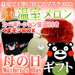 ��̓��M�t�g �h�}�X�N���������J�[�l�[�V�������ԁh ���܃������ϔ� 1�� ��1.5kg�ȏ� �F�{�Y�y�\�� 5��2���`5��10�����͂��\��z ������