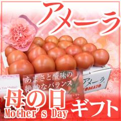 ��̓��M�t�g �h�A���[���h �J�[�l�[�V�������ԕt�� ���ϔ� ��1kg�y�\�� 5��2���`5��10�����͂��\��z ��������