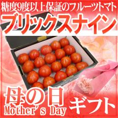 ��̓��M�t�g �h�u���b�N�X�i�C���h �J�[�l�[�V�������ԕt�� ���ϔ� ��1kg�y�\�� 5��2���`5��10�����͂��\��z ��������