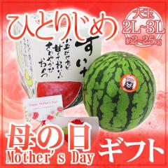 ��̓��M�t�g �h���ʂ����� �ЂƂ肶�߁h �J�[�l�[�V�������ԕt�� ���ϔ� 2L�`3L 1�� ��2�`2.5kg�y�\�� 5��2���`5��10�����͂��\��z ��