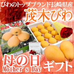 ��̓��M�t�g ����Y �h�Ζ؂т�h �J�[�l�[�V�������ԕt�� ���ϔ� L�E2L 9�`12�� ���܍���650g�y�\�� 5��2���`5��10�����͂��\��z ����