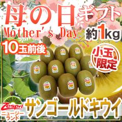 ��̓��M�t�g �h�[�X�v�� �T���S�[���h�L�E�C�h ���� 10�ʑO�� ��1kg �J�[�l�[�V�������ԕt �j���[�W�[�����h�Y�y�\�� 5��2���`5��10����