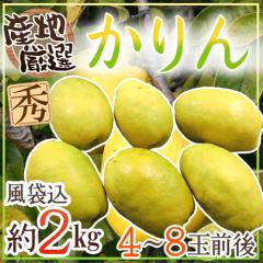�h�����h �G�i 4�`8�ʑO�� ��2kg �Y�n���I�y�\�� 10�����{�ȍ~�z ��������