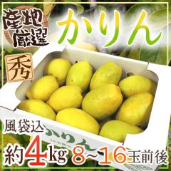 �h�����h �G�i 8�`16�ʑO�� ��4kg �Y�n���I�y�\�� 10�����{�ȍ~�z ��������