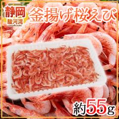 �É��� �x�͘p�Y �h���g�������сh ��55g �y�\�� ���׎��攭���z ��������