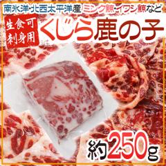 Y h~̎qh 250g kmEXm ~N~ECV~Ej^~Ȃ 